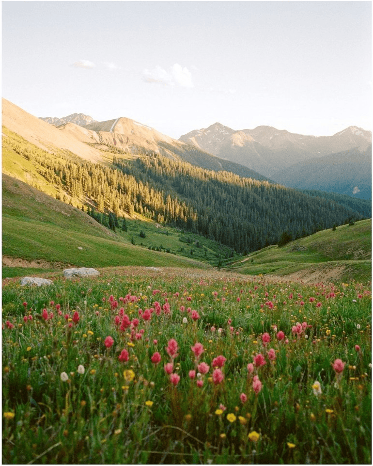 Une prairie face aux Dolomites
